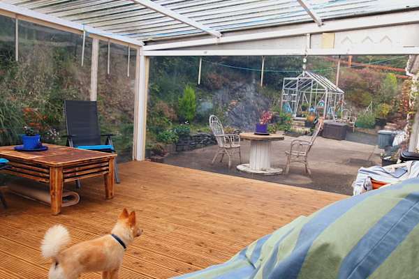 House sit in Letterkenny, Ireland