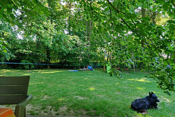 House sit in Sint-Genesius-Rode, Belgium