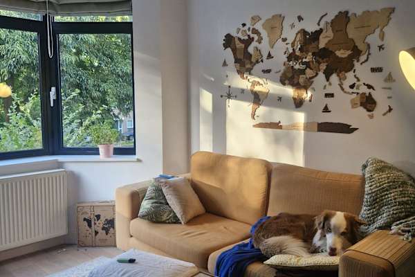 House sit in Rijswijk, Netherlands