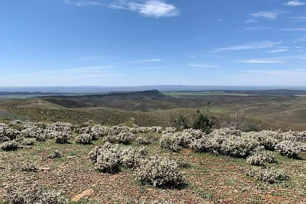 House sit in Quorn, SA, Australia