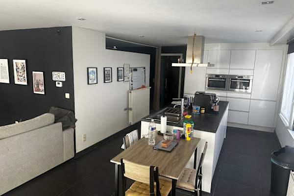 House sit in Aartselaar, Belgium