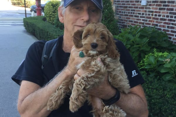 House sit in Long Beach, NY, US