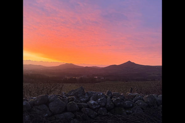 House sit in Enniskerry, Ireland