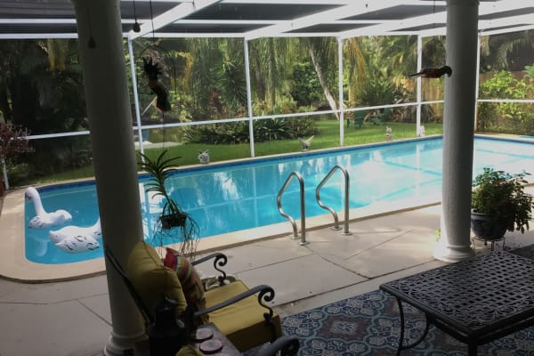 House sit in Wilton Manors, FL, US