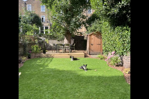 House sit in Islington, United Kingdom