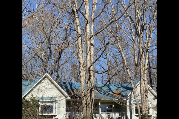 House sit in Lincolnton, NC, US