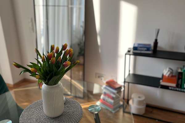 House sit in Düsseldorf, Germany