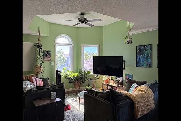 House sit in Barrie, ON, Canada