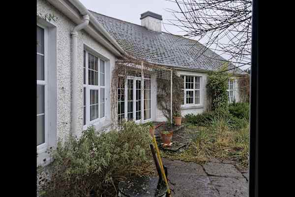 House sit in Navan, Ireland