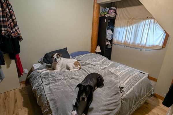 House sit in Whistler, BC, Canada