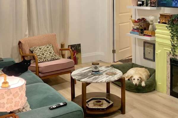 House sit in Toronto, ON, Canada