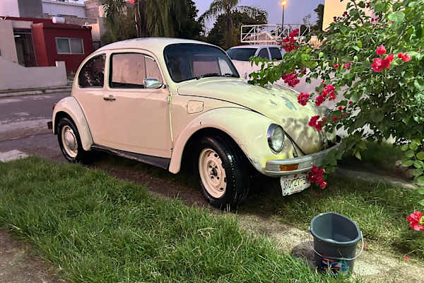 House sit in Puerto Vallarta, Mexico