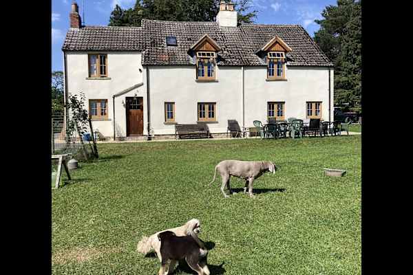 House sit in Thornton Dale, United Kingdom