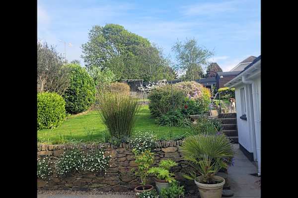 House sit in Hayle, United Kingdom