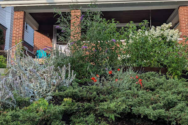 House sit in Pittsburgh, PA, US