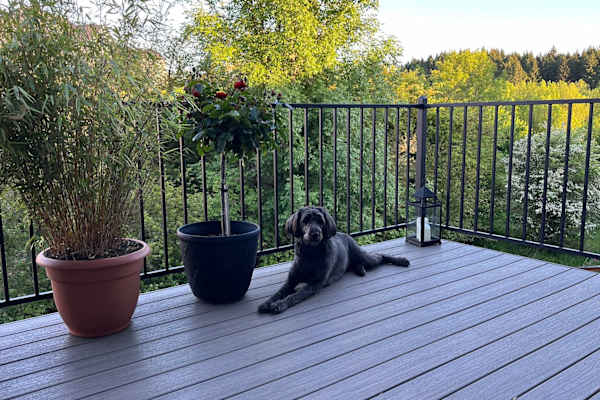 House sit in Corvallis, OR, US