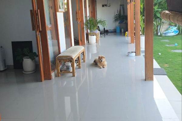 House sit in Mengwi, Indonesia