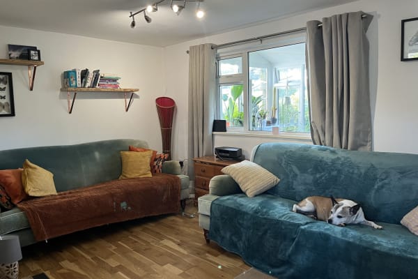 House sit in Saint Agnes, United Kingdom