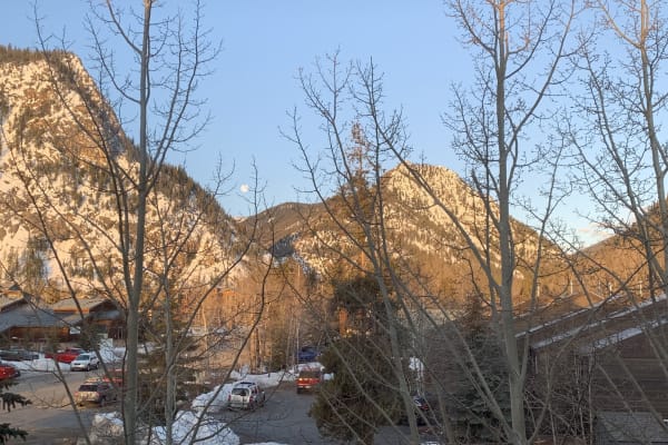 House sit in Frisco, CO, US