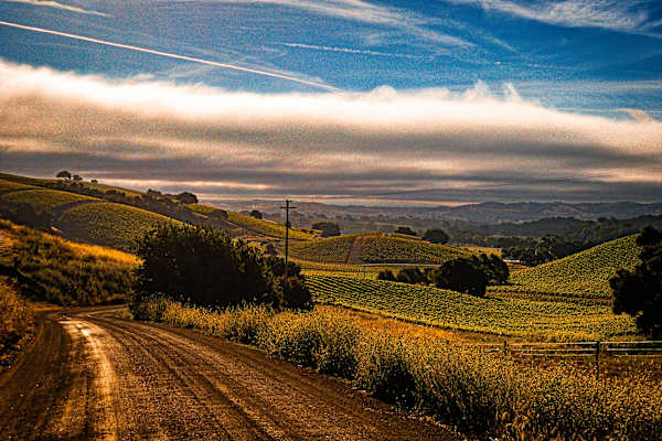 House sit in Paso Robles, CA, US