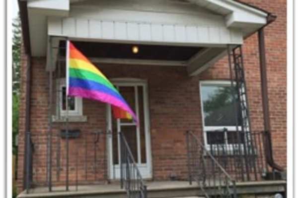 House sit in Toronto, ON, Canada