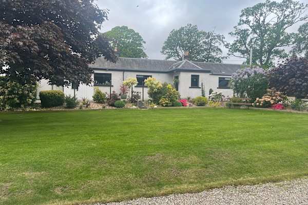 House sit in Blairgowrie, United Kingdom