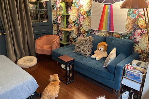 House sit in Aspen, CO, US