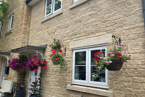 House sit in Oxford, United Kingdom