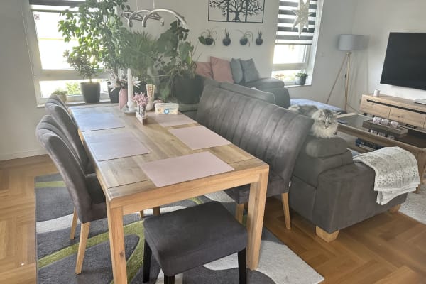 House sit in Potsdam, Germany