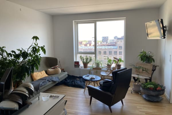 House sit in Copenhagen, Denmark