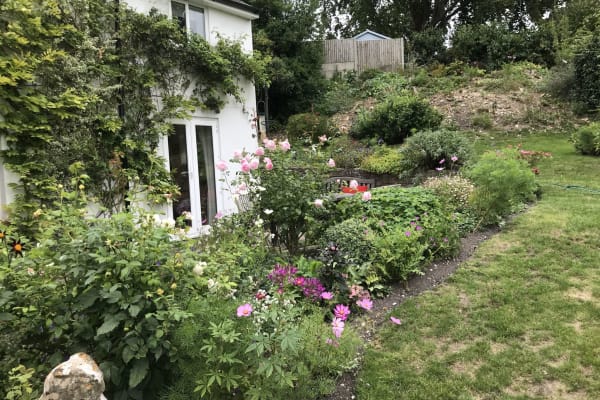 House sit in Blandford Forum, United Kingdom