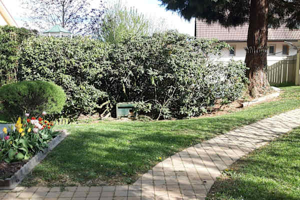 House sit in Vucherens, Switzerland