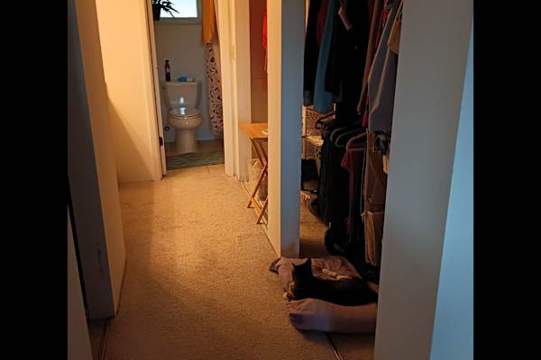 House sit in Melbourne, FL, US