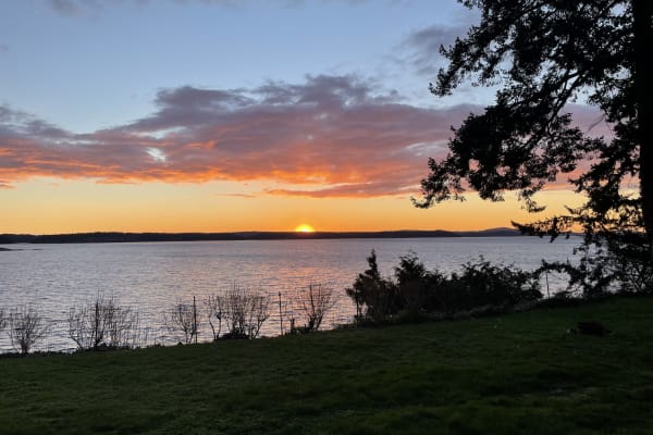 House sit in Nanaimo, BC, Canada