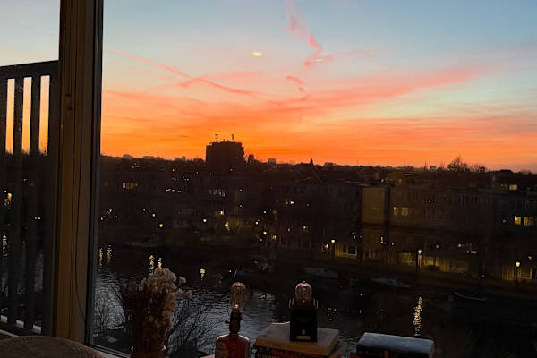 House sit in Amsterdam, Netherlands