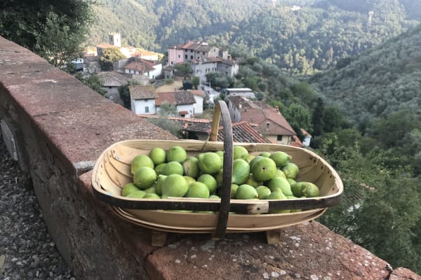 House sit in Lucca, Italy