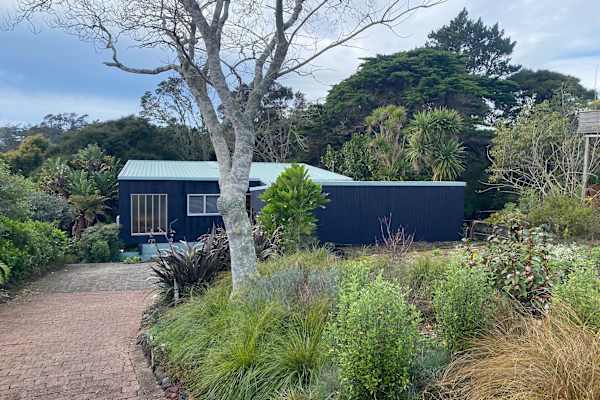 House sit in Auckland, New Zealand