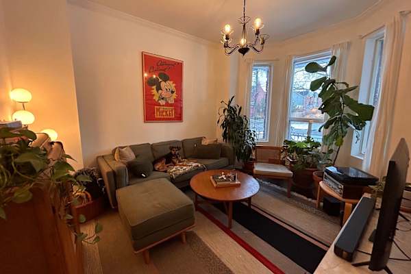 House sit in Little Portugal, ON, Canada