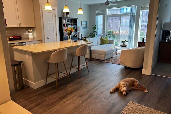 House sit in Traverse City, MI, US