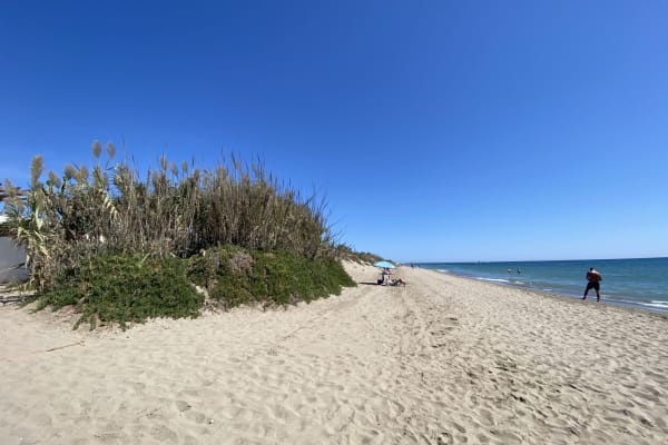 House sit in Marbella, Spain