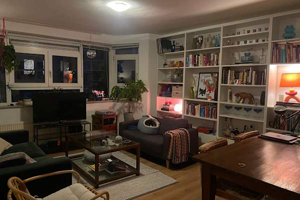 House sit in Amsterdam, Netherlands