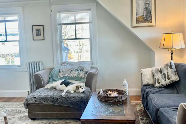 House sit in Providence, RI, US