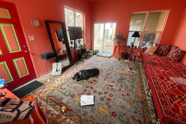 House sit in Albuquerque, NM, US