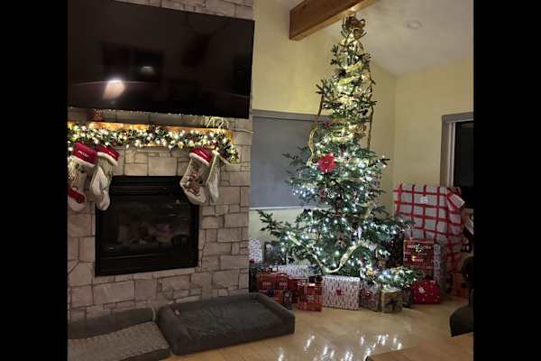 House sit in Steamboat Springs, CO, US