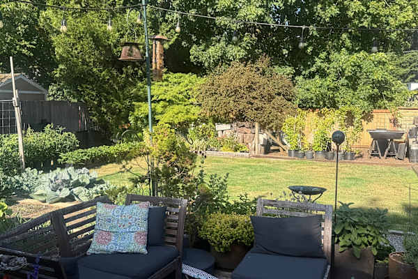 House sit in Bellevue, WA, US