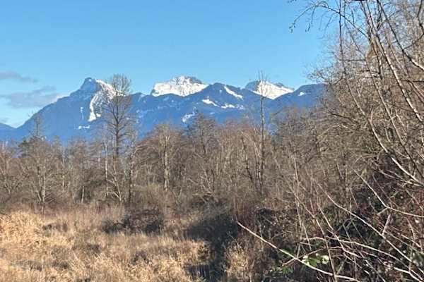 House sit in Chilliwack, BC, Canada