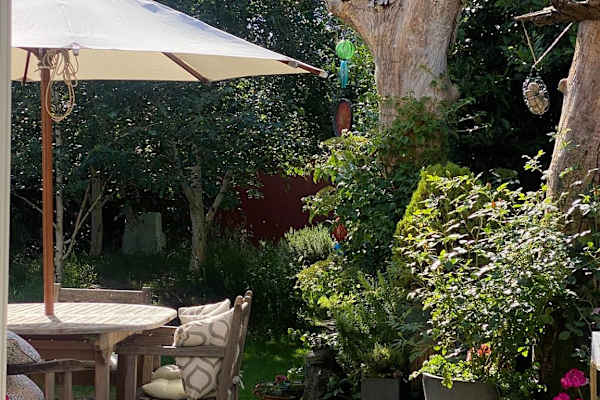 House sit in London, United Kingdom