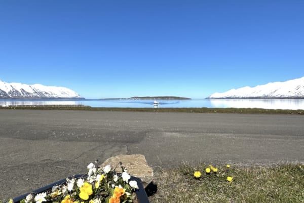 House sit in Litli-Árskógssandur, Iceland