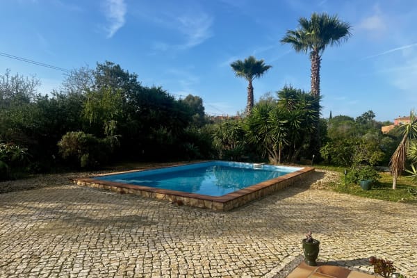 House sit in Carvoeiro, Portugal
