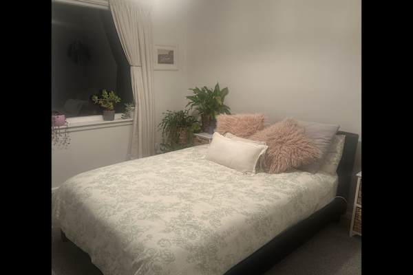 House sit in Christchurch, New Zealand